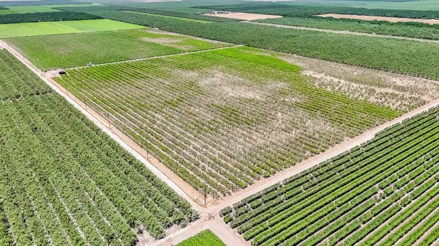 $1,520,000 | 1 Davis, Laton, CA 93242