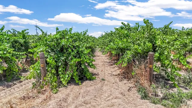 $1,520,000 | 1 Davis, Laton, CA 93242