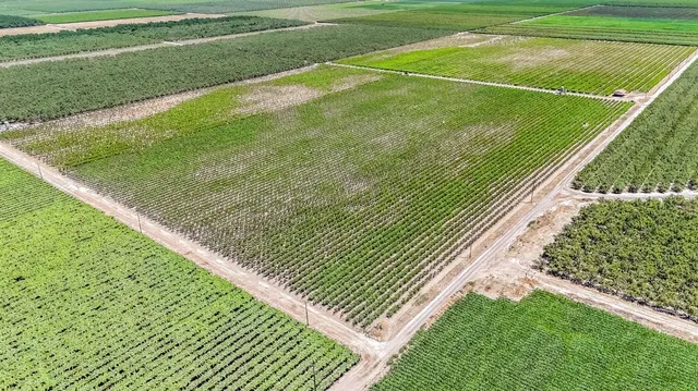 $1,520,000 | 1 Davis, Laton, CA 93242