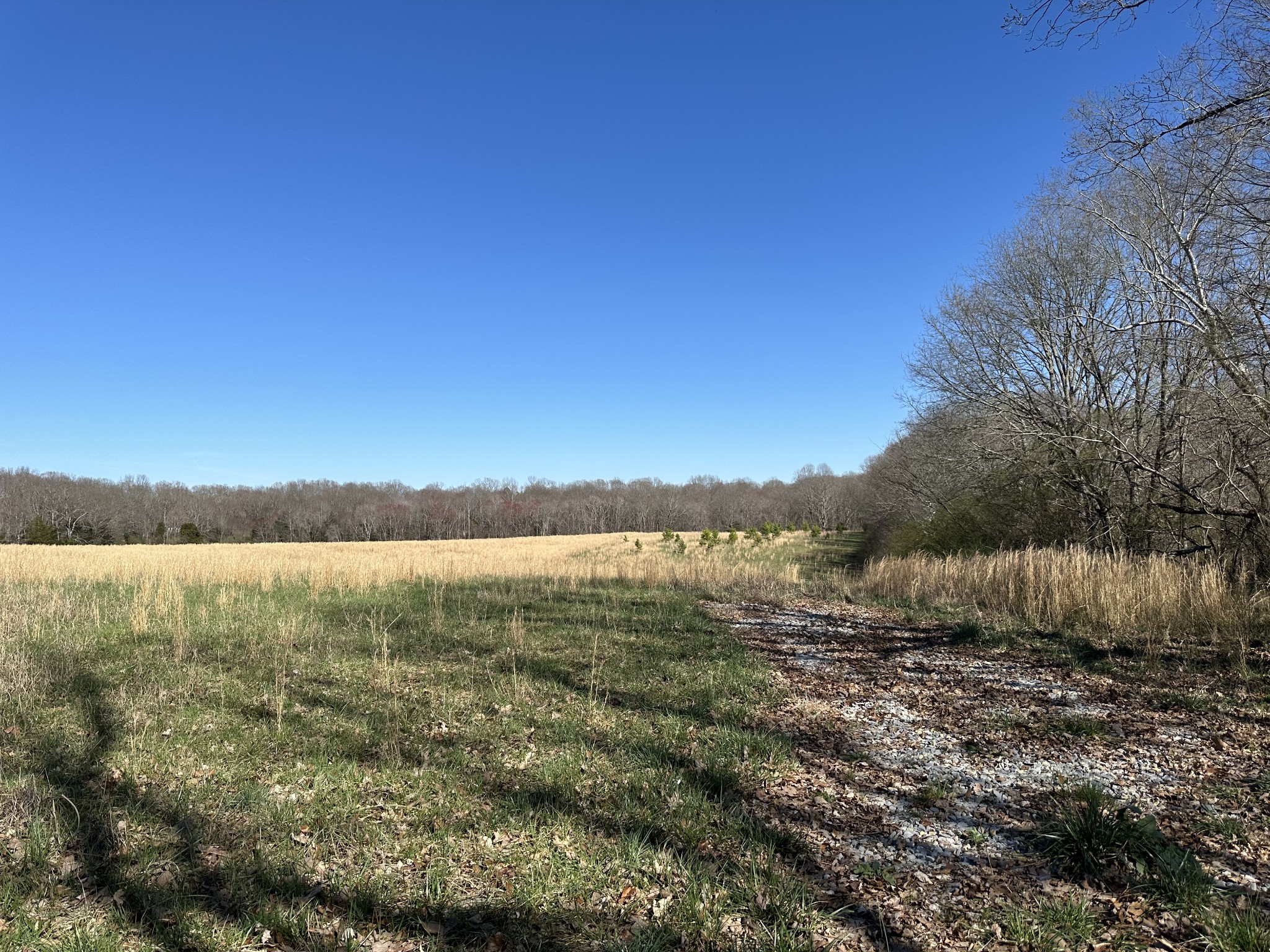 161 Jordan Cemetery Road Burns, TN 37029 - Photo 3 of 6 a view of lake and mountain