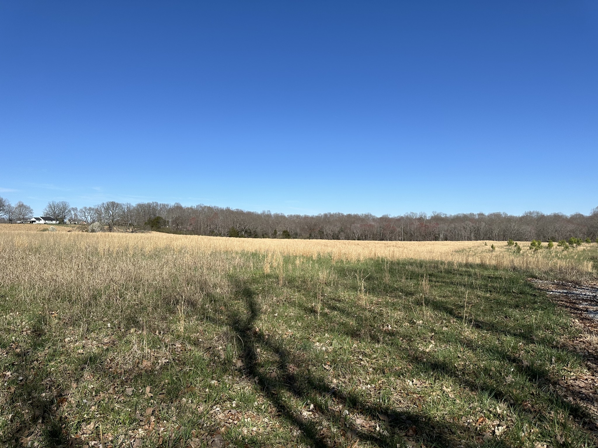 161 Jordan Cemetery Road Burns, TN 37029 - Photo 4 of 6 a view of lake with green space