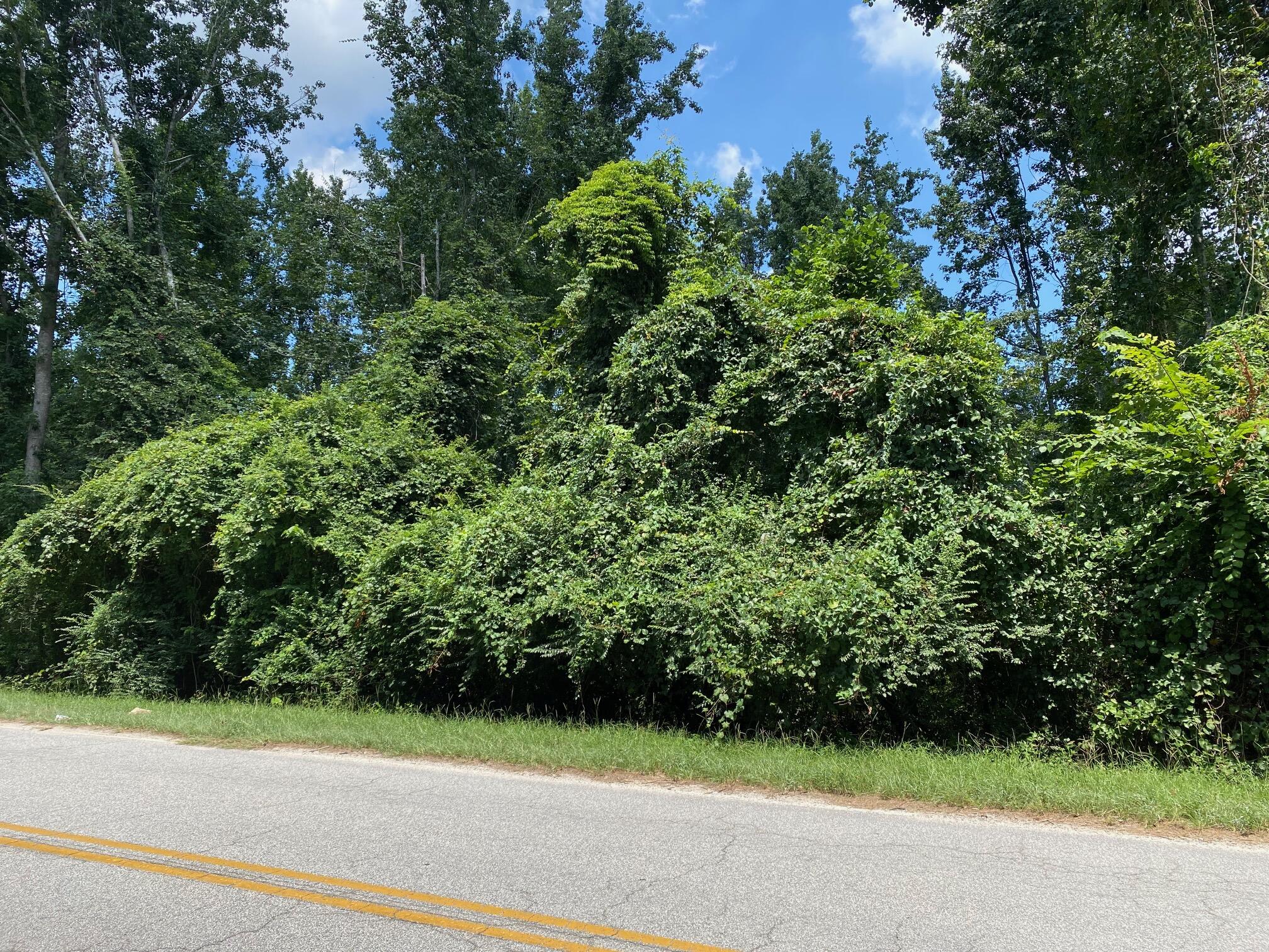 1807 McDade Road Augusta, GA 30906 - Photo 6 of 6 1807 McDade Farm Road_2