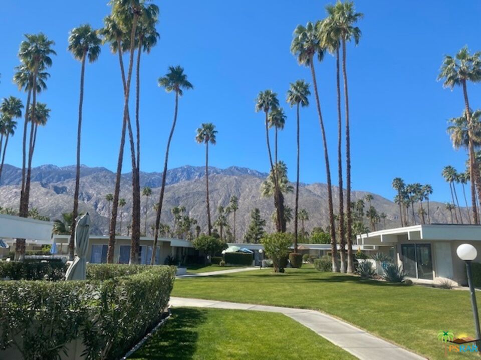 2033 Ramon Road, Unit 4B Palm Springs, CA 92264 - Photo 4 of 44 a view of a garden with a palm tree