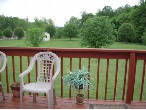 160 Painter Road Fall Branch, TN 37656 - Photo 12 of 12 View of Back Yard from Deck