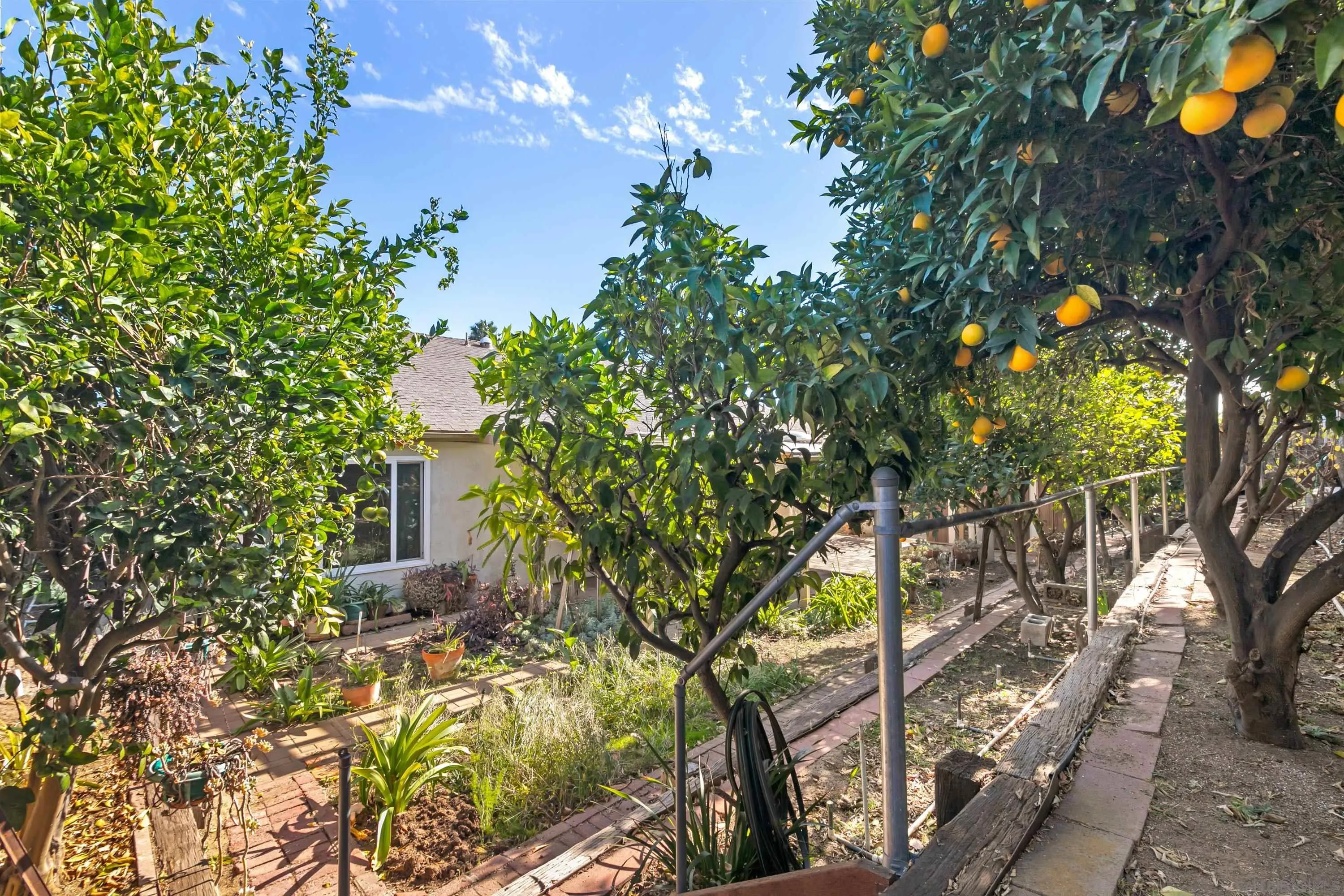 13840 Olive Grove Place Poway, CA 92064 - Photo 30 of 40 a view of a house with a tree in a yard