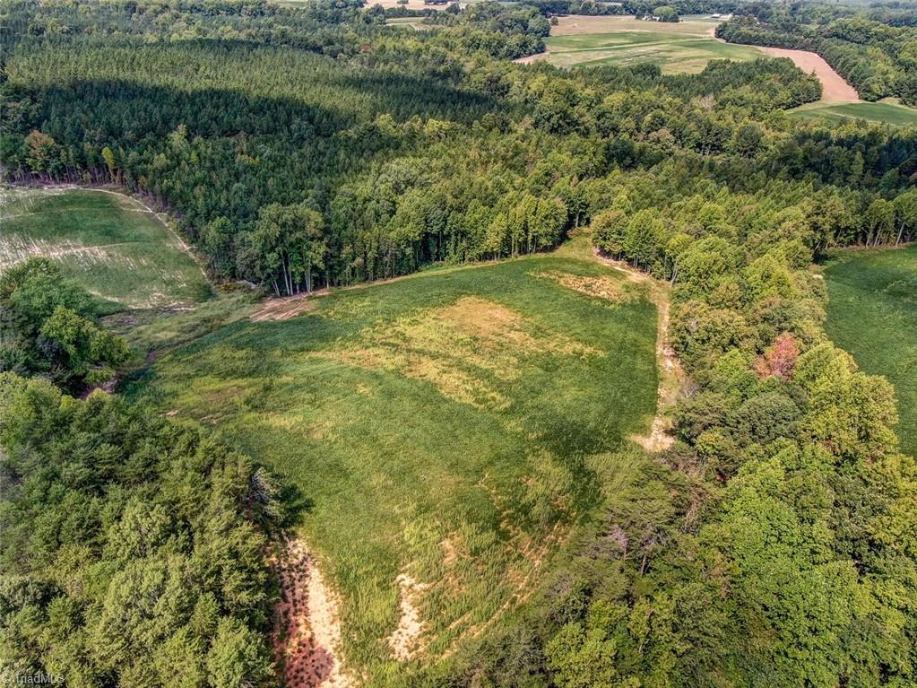 Lot Ii Estes Road Ruffin, NC 27326 - Photo 8 of 10