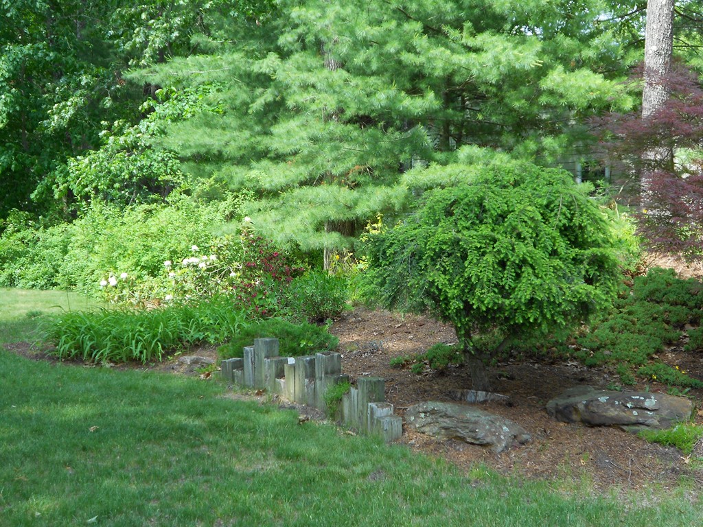 3 Whippletree Road Chelmsford, MA 01824 - Photo 3 of 19