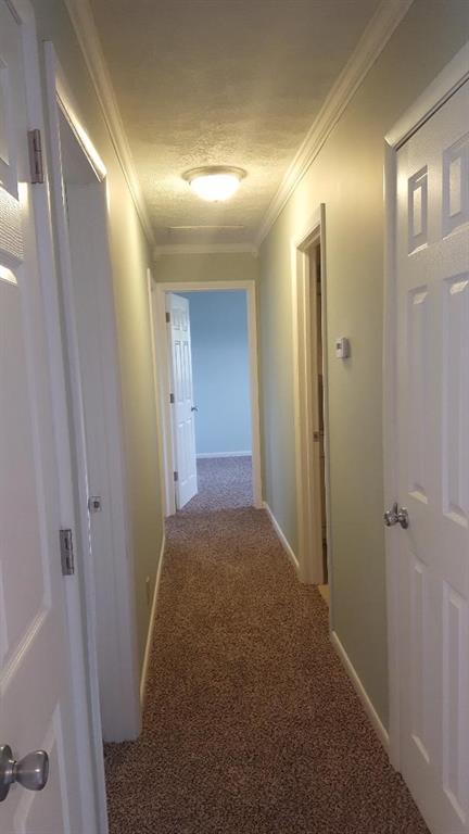 7506 Camby Road Camby, IN 46113 - Photo 16 of 22 Gallery Image 16