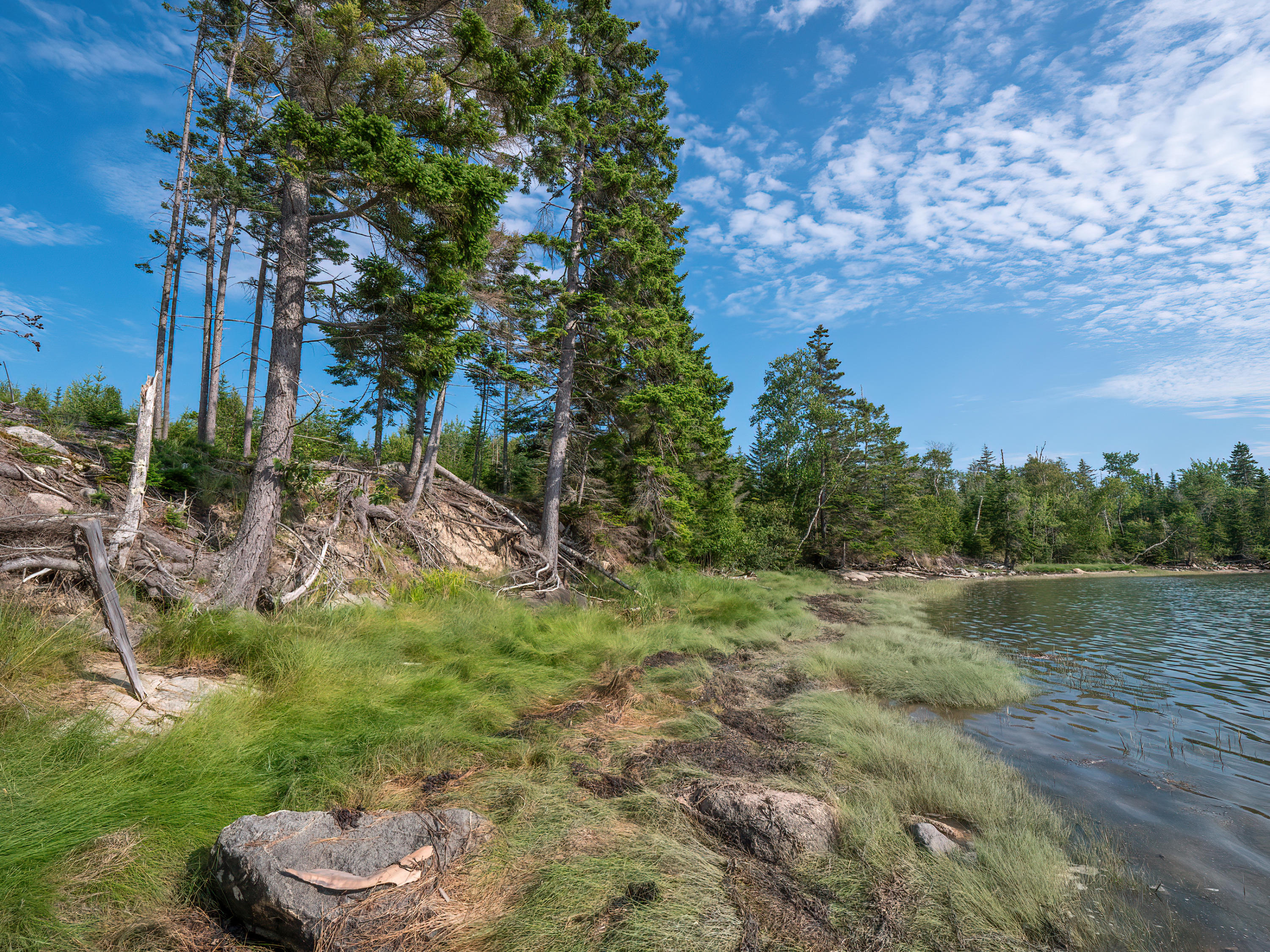 32 Peninsula Shores Road Corea, ME 04624 - Photo 17 of 23 32 Pennisula Shores HiRes (6)