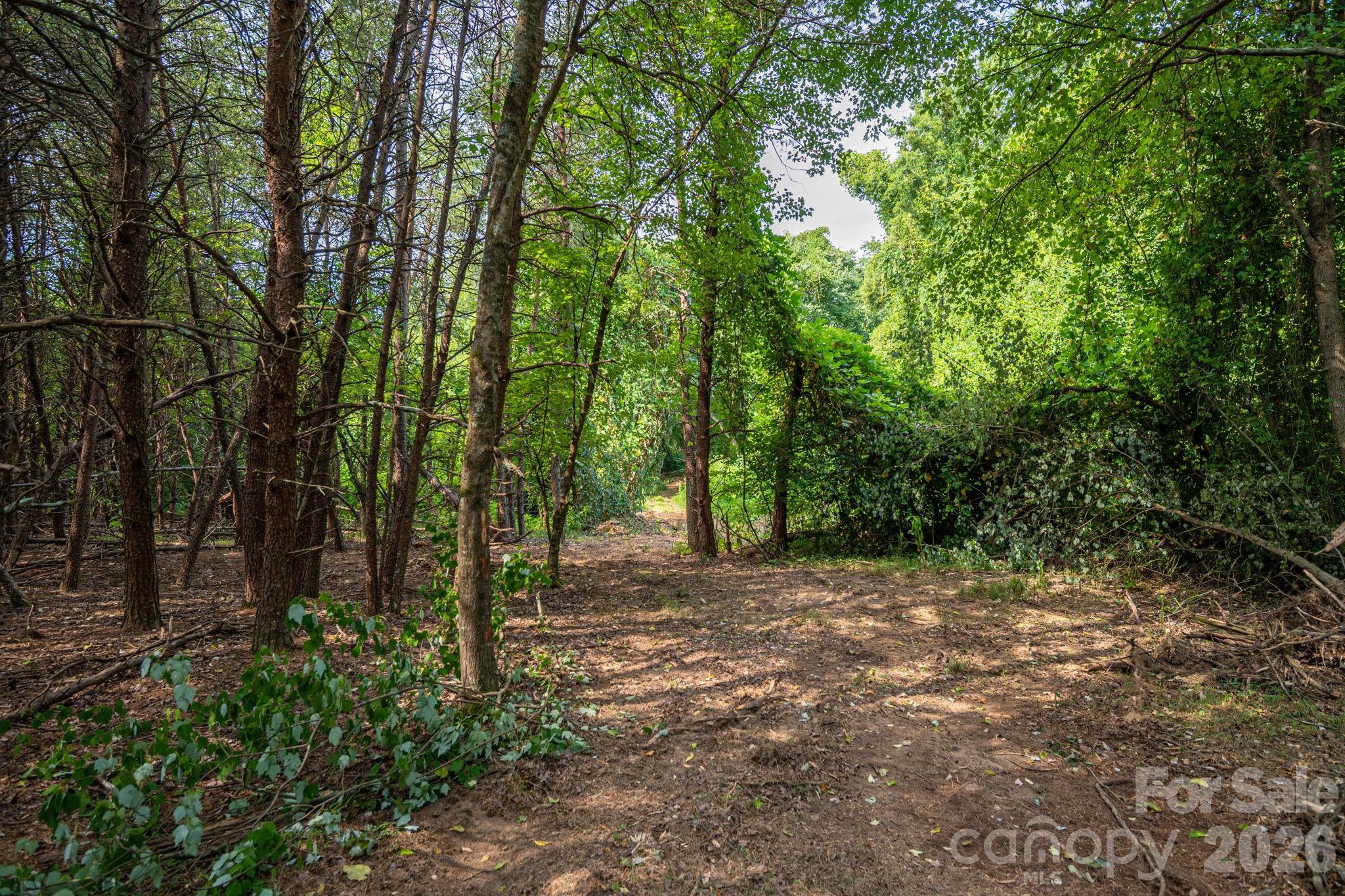 0 Frank Cline Road Vale, NC 28168 - Photo 15 of 17