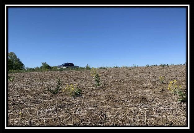 12096 St Rt 736 Road Marysville, OH 43040 - Photo 11 of 26