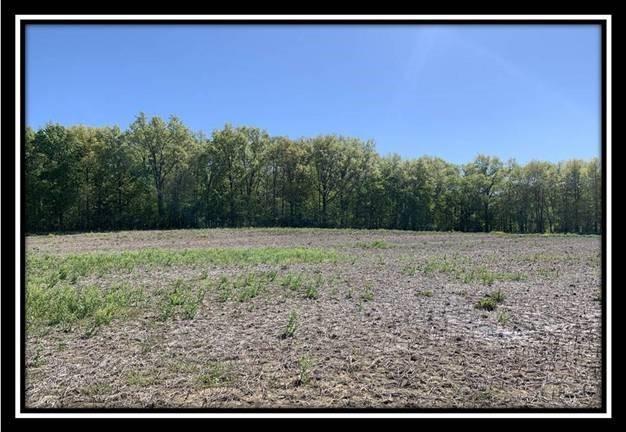 12096 St Rt 736 Road Marysville, OH 43040 - Photo 13 of 26