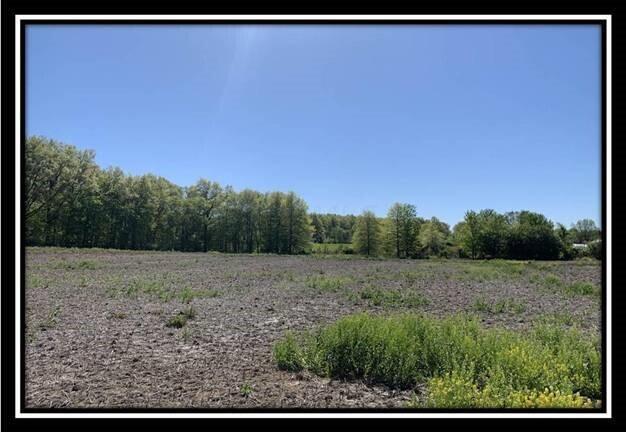 12096 St Rt 736 Road Marysville, OH 43040 - Photo 14 of 26