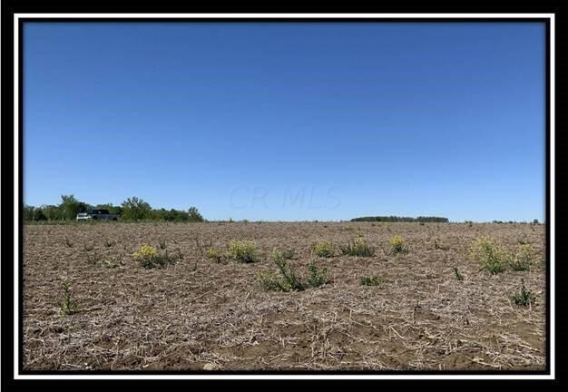 12096 St Rt 736 Road Marysville, OH 43040 - Photo 15 of 26