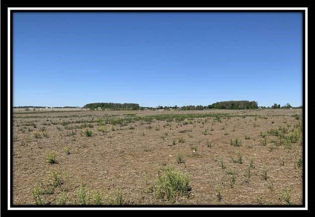12096 St Rt 736 Road Marysville, OH 43040 - Photo 16 of 26