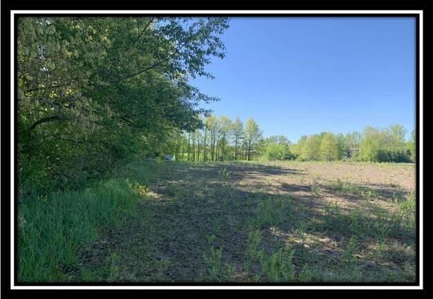 12096 St Rt 736 Road Marysville, OH 43040 - Photo 17 of 26