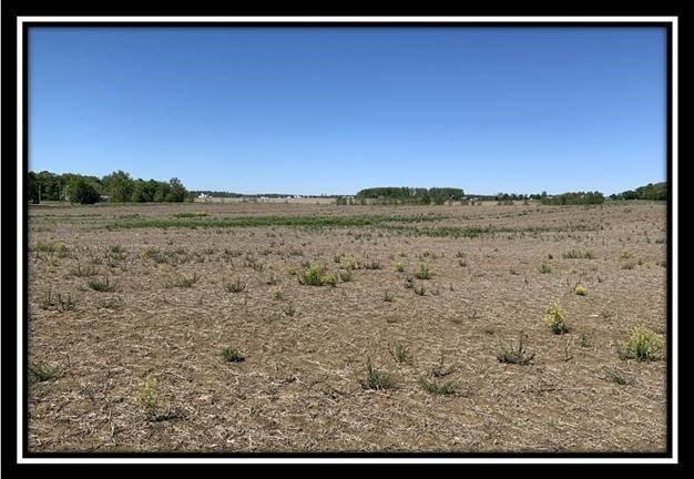 12096 St Rt 736 Road Marysville, OH 43040 - Photo 20 of 26