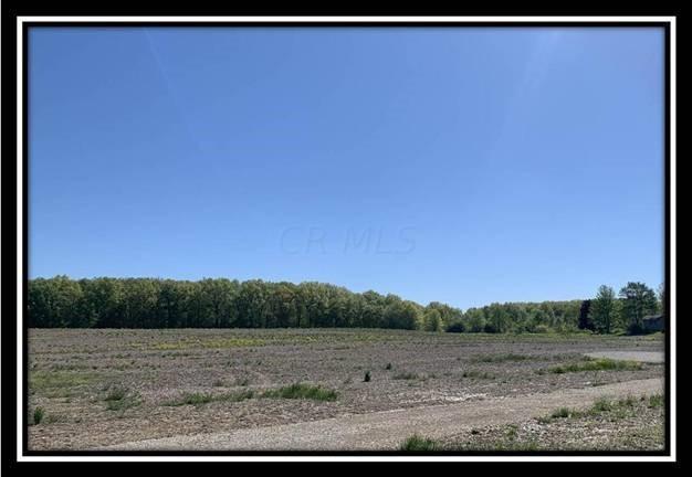 12096 St Rt 736 Road Marysville, OH 43040 - Photo 21 of 26