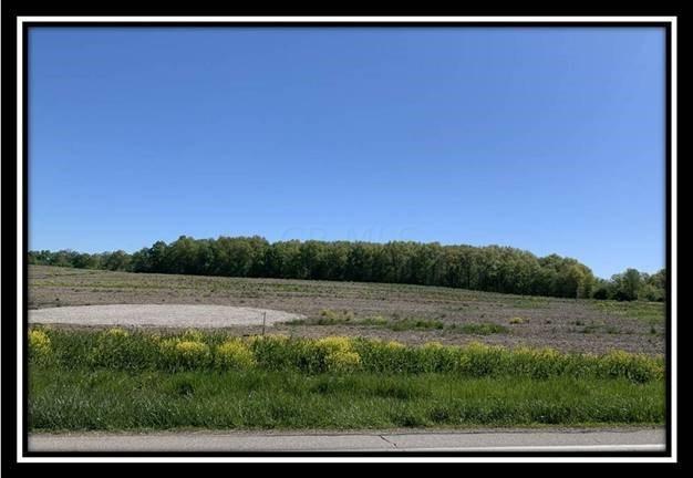 12096 St Rt 736 Road Marysville, OH 43040 - Photo 22 of 26