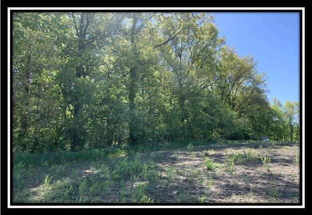 12096 St Rt 736 Road Marysville, OH 43040 - Photo 10 of 26
