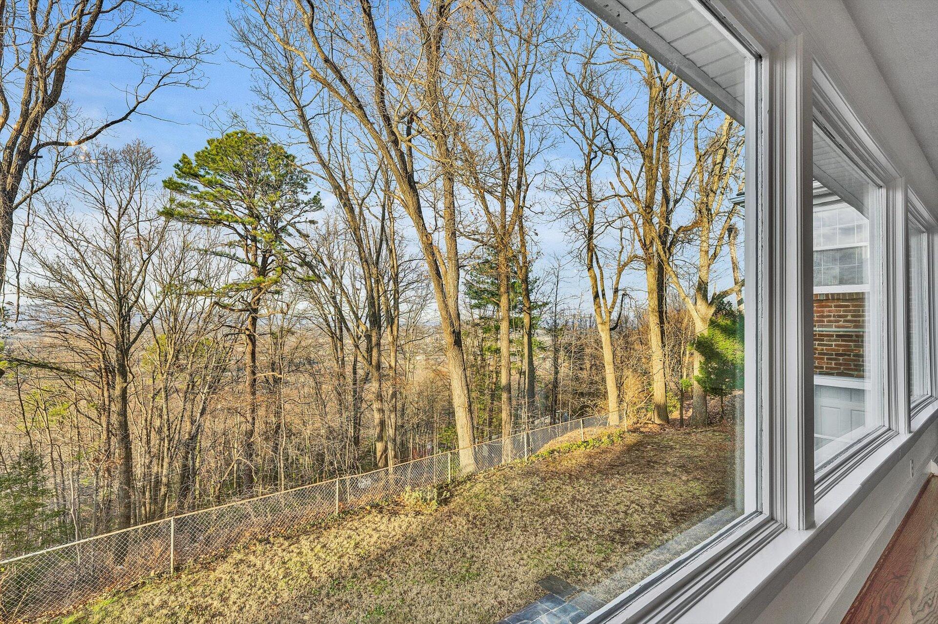 3442 West Ridge Road Southwest Roanoke, VA 24014 - Photo 13 of 42 a view of a door and a trees