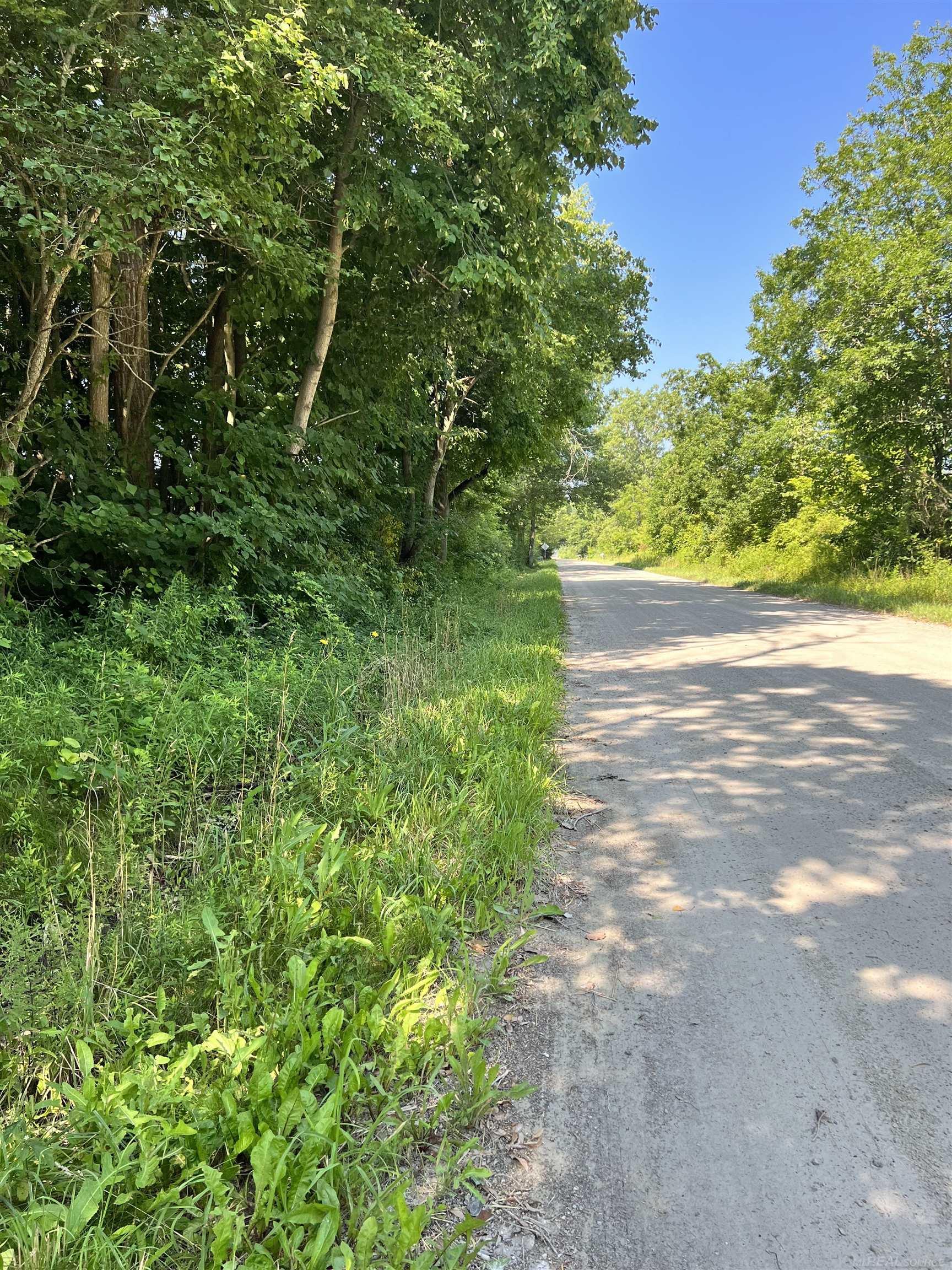 Parcel B Webb Road Goodells, MI 48027 - Photo 3 of 6