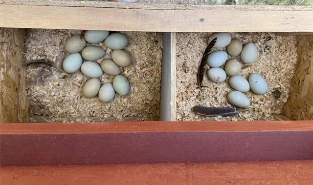 $1,299,000 | 11360 Highway 287 South, Pennington, TX 75856