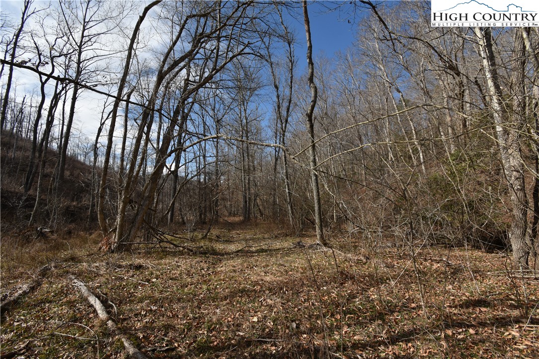 0 Albert Phipps Road Crumpler, NC 28617 - Photo 11 of 18 Gallery Image 11