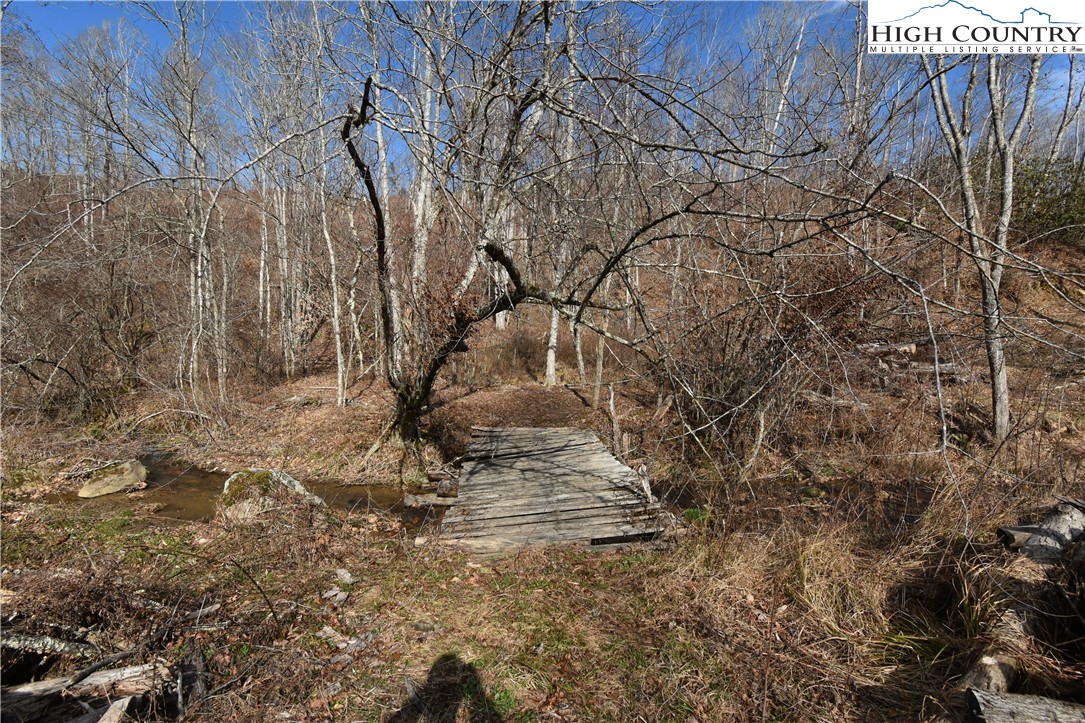 0 Albert Phipps Road Crumpler, NC 28617 - Photo 12 of 18 Gallery Image 12