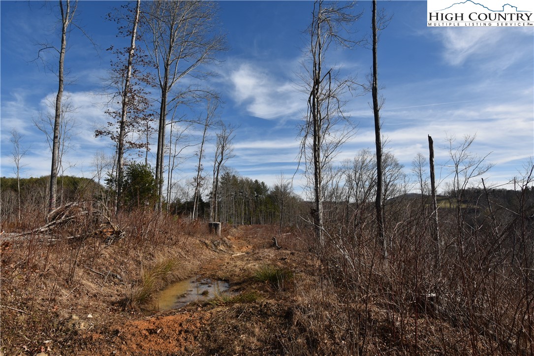 0 Albert Phipps Road Crumpler, NC 28617 - Photo 13 of 18 Gallery Image 13