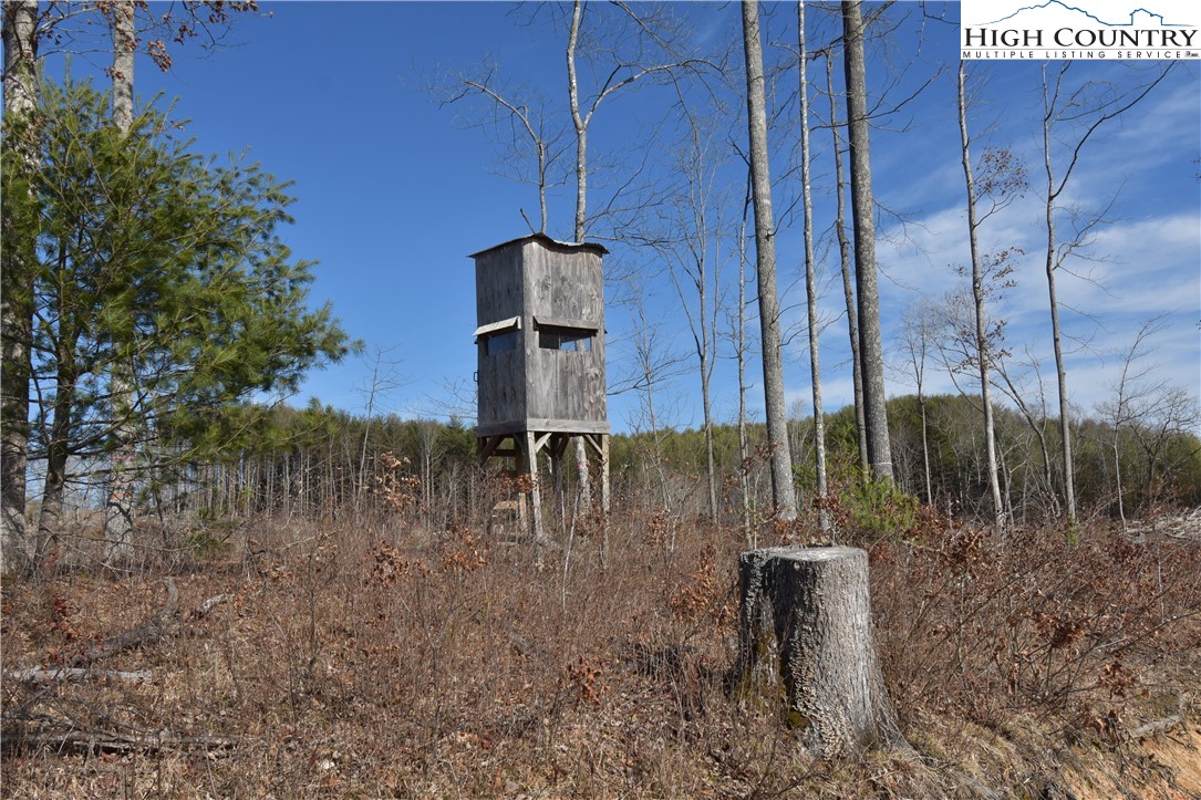 0 Albert Phipps Road Crumpler, NC 28617 - Photo 15 of 18 Gallery Image 15