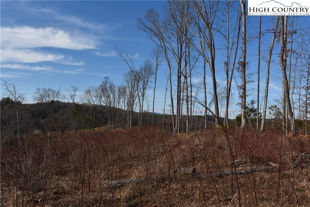 0 Albert Phipps Road Crumpler, NC 28617 - Photo 16 of 18 Gallery Image 16