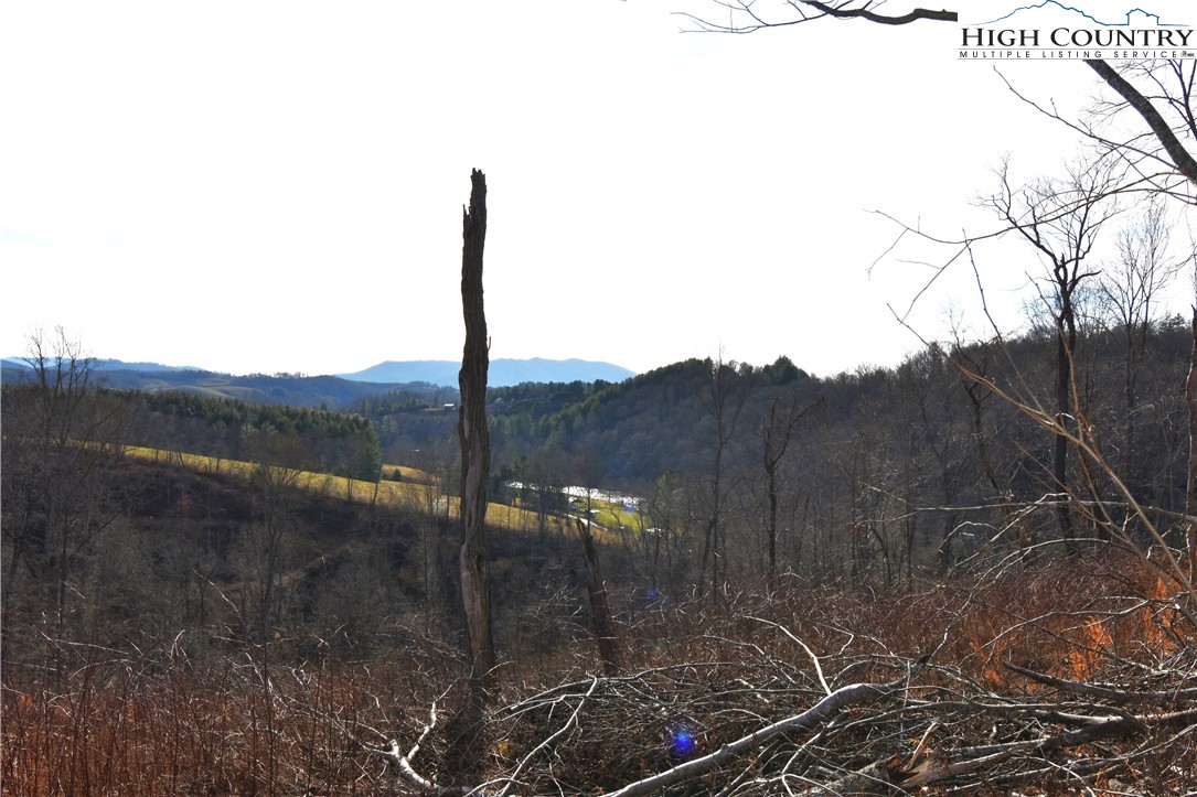 0 Albert Phipps Road Crumpler, NC 28617 - Photo 17 of 18 Gallery Image 17