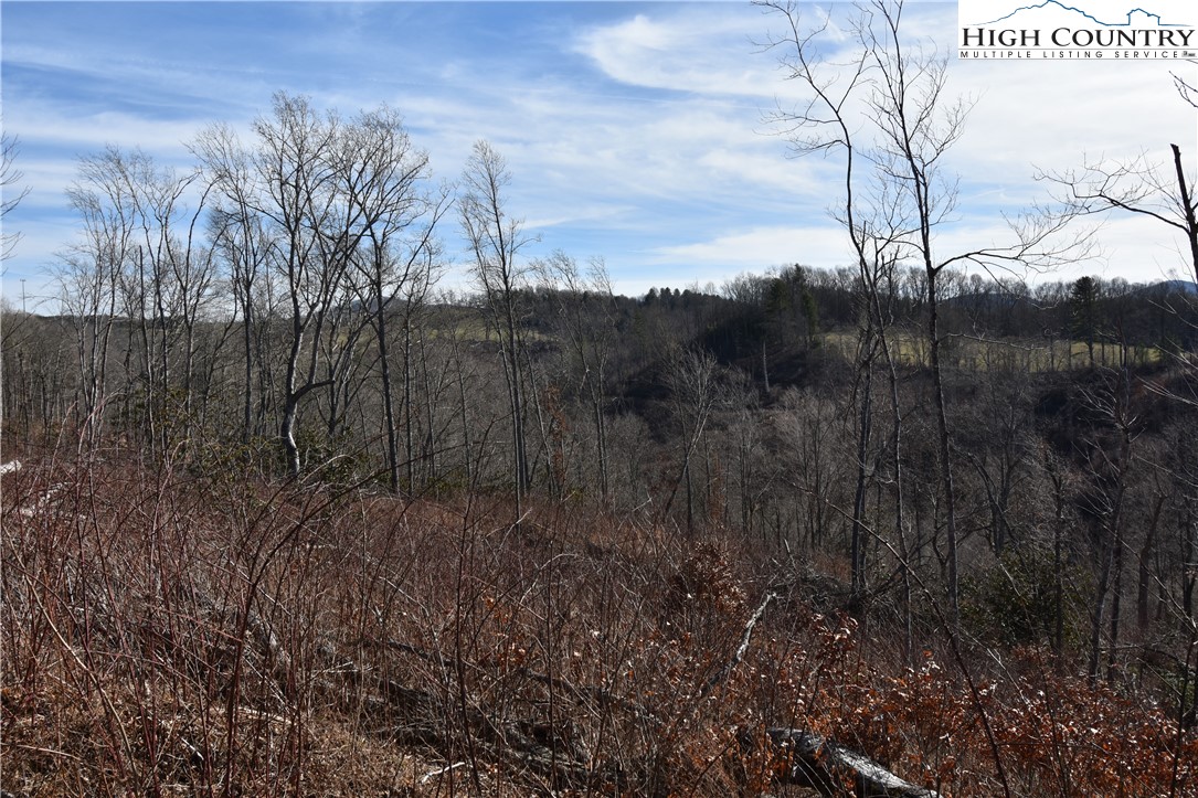 0 Albert Phipps Road Crumpler, NC 28617 - Photo 18 of 18 Gallery Image 18