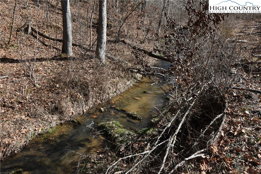 0 Albert Phipps Road Crumpler, NC 28617 - Photo 8 of 18 Gallery Image 8