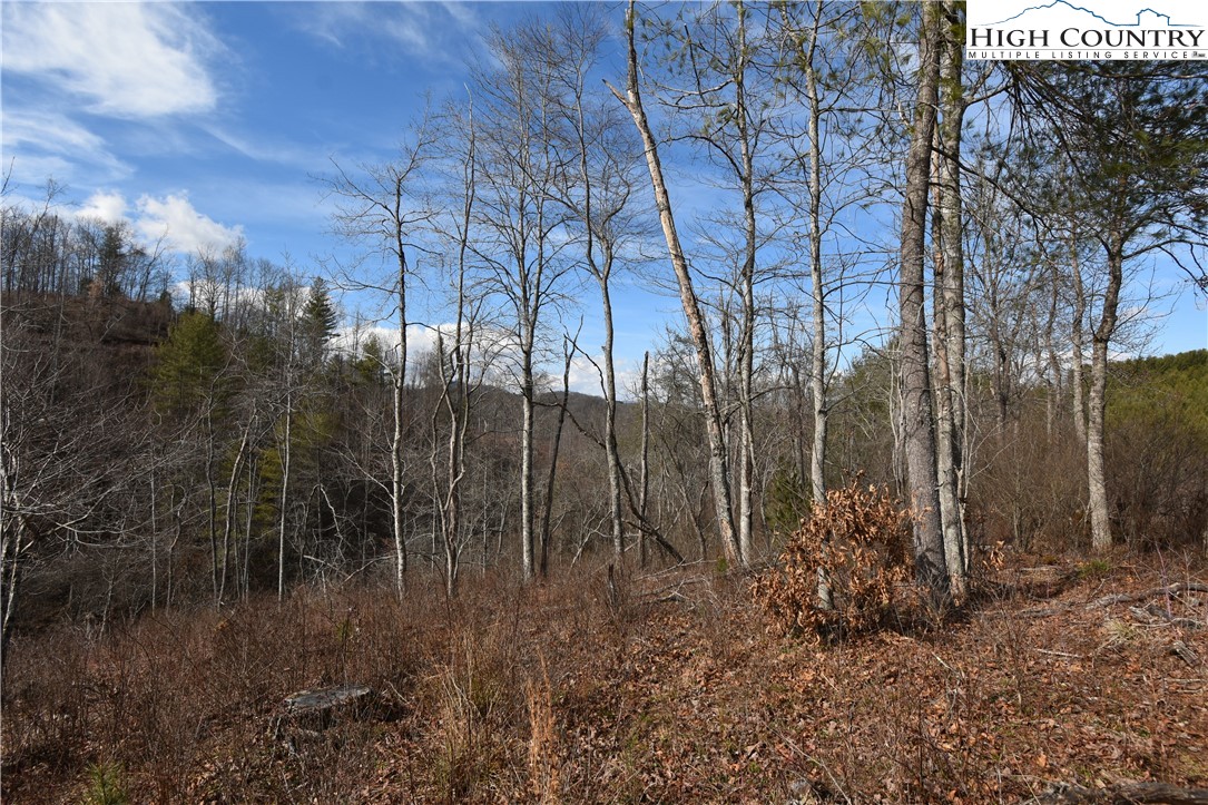 0 Albert Phipps Road Crumpler, NC 28617 - Photo 10 of 18 Gallery Image 10