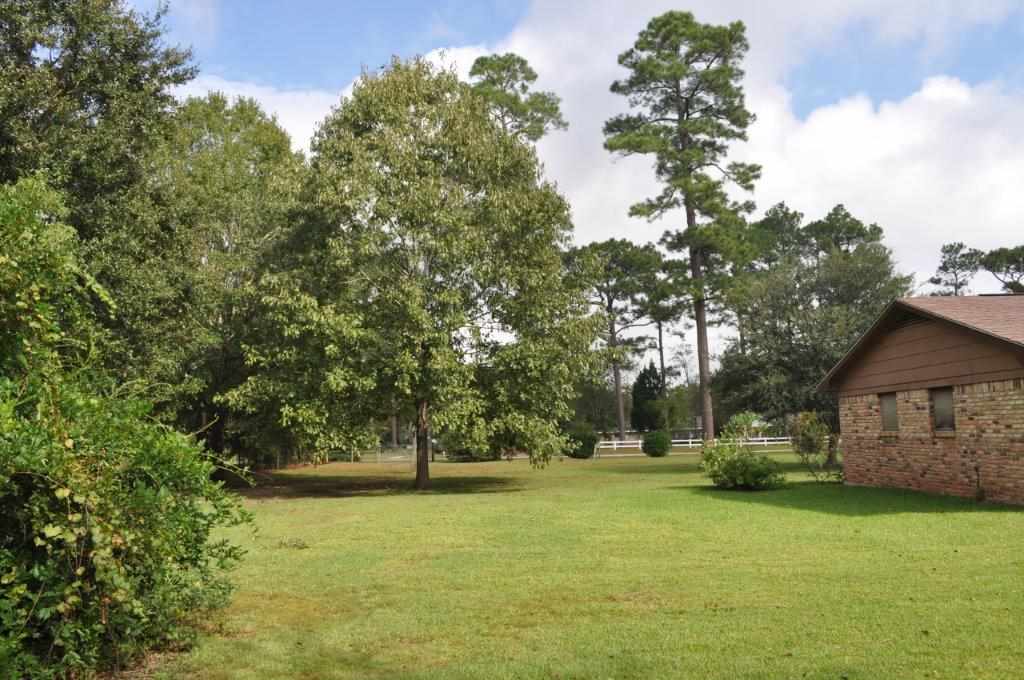 24030 County Road 85, Unit 85 Robertsdale, AL 36567 - Photo 7 of 40