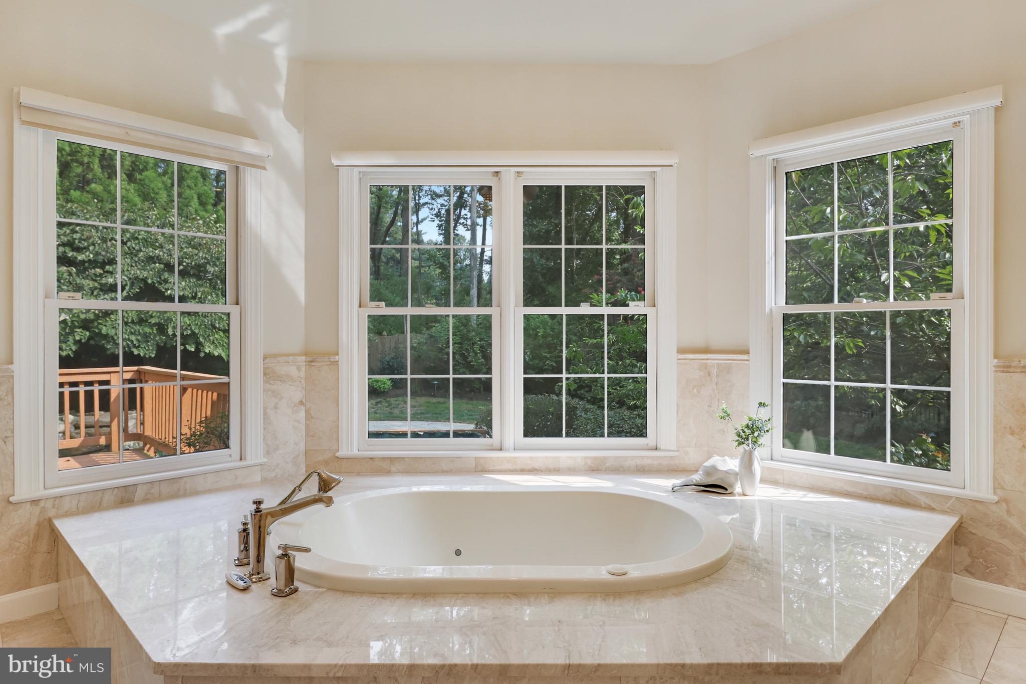 8100 Ridings Court McLean, VA 22102 - Photo 33 of 79 Jacuzzi Tub