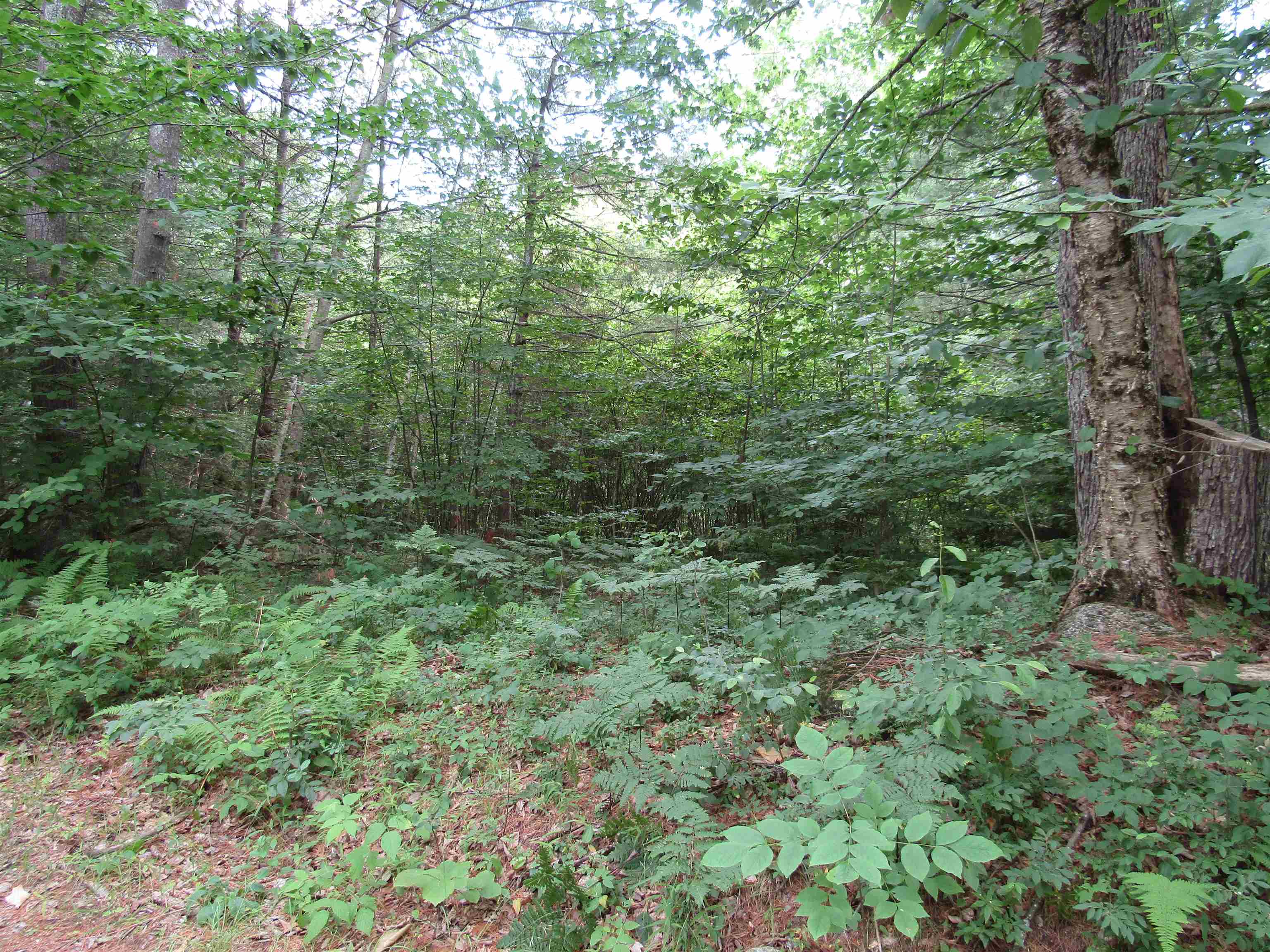 0 Cross Road, Unit 573 Antrim, NH 03440 - Photo 3 of 6 Gallery Image 3