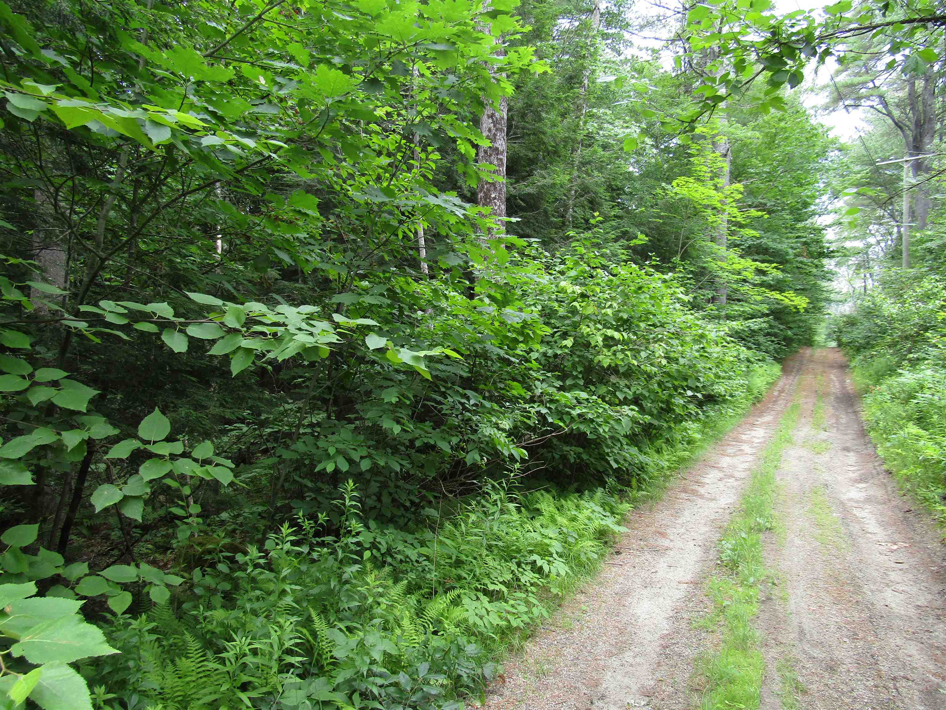 0 Cross Road, Unit 573 Antrim, NH 03440 - Photo 5 of 6 Gallery Image 5