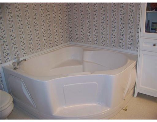 126 Kusch Road Scenery Hill, PA 15360 - Photo 11 of 18 Master Bath/Spa.