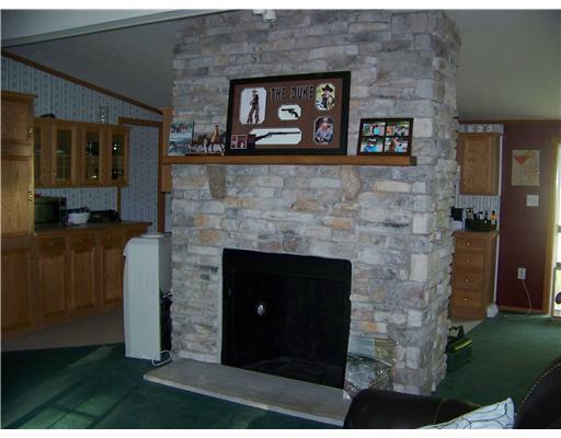 Other. Stone wood burning fireplace.