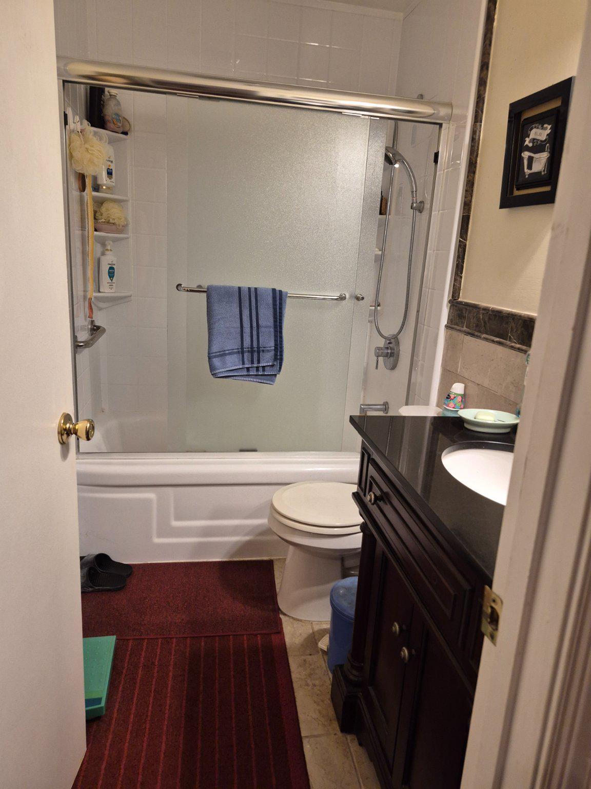13806 Carter House Way, Unit 16145 Silver Spring, MD 20904 - Photo 34 of 45 Bathtub has shower door, instead of shower curtain