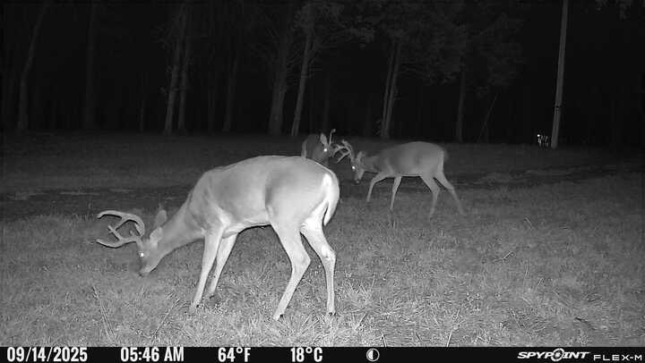 0 Atkinson Road Lebanon, TN 37090 - Photo 17 of 35 Gallery Image 17