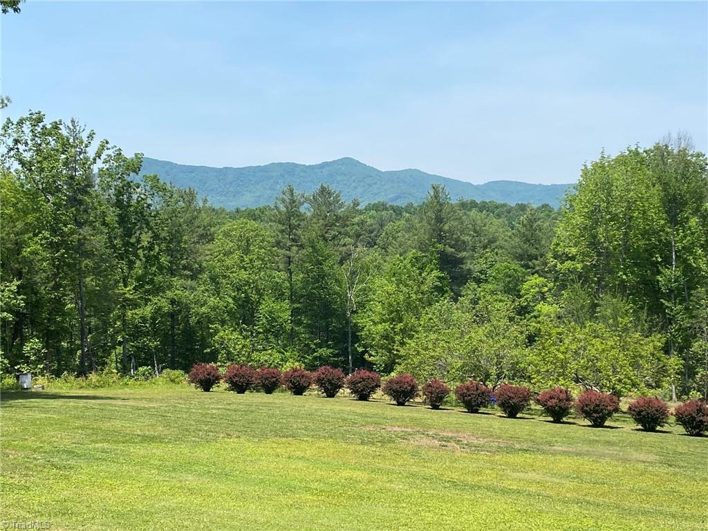 166 Holly Ridge Drive Cana, VA 24317 - Photo 2 of 50 Mountain View!