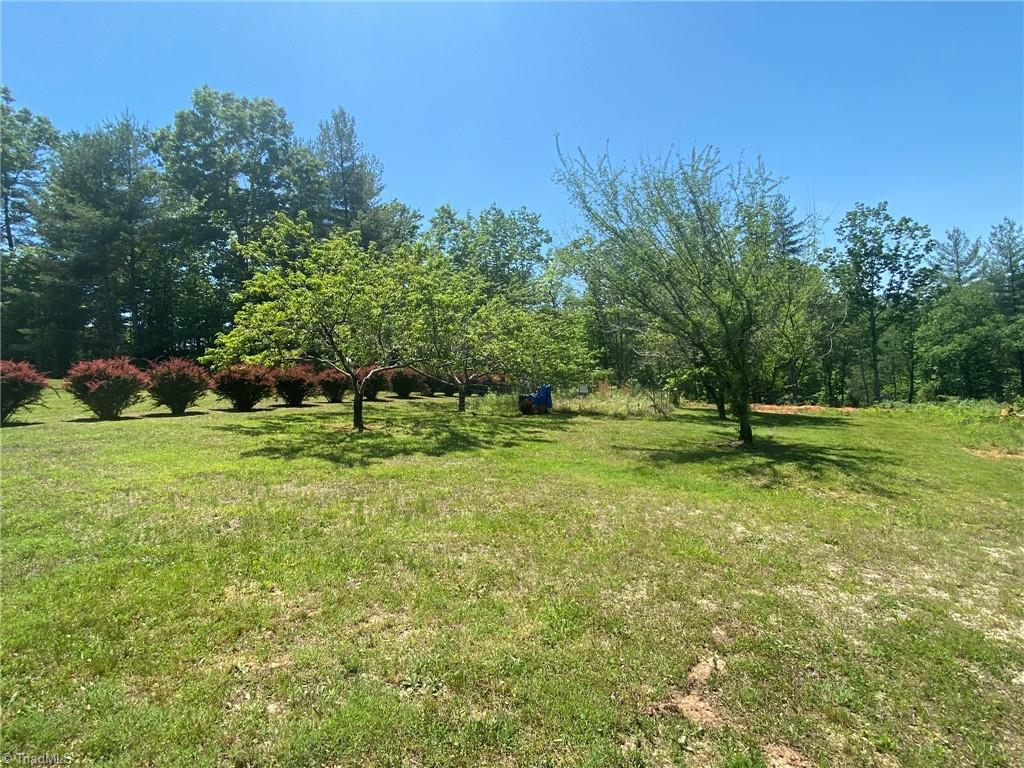 166 Holly Ridge Drive Cana, VA 24317 - Photo 45 of 50 Front Yard