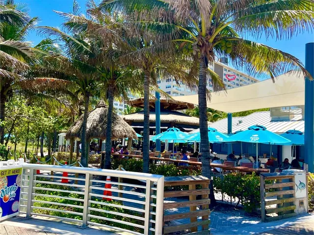 a view of a yard with palm tree