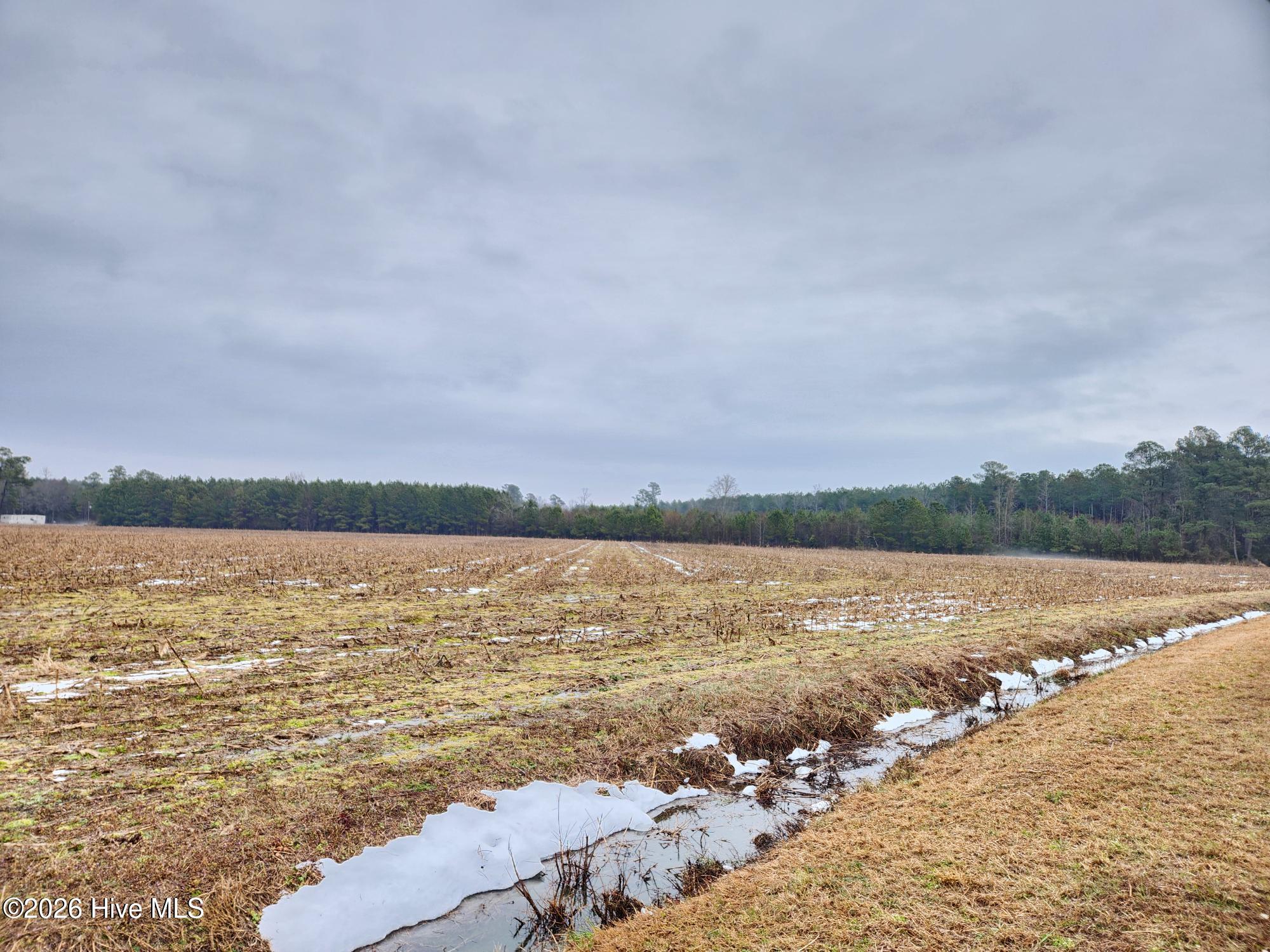 Tbd Ramsey Ford Road Tabor City, NC 28463 - Photo 11 of 13 7