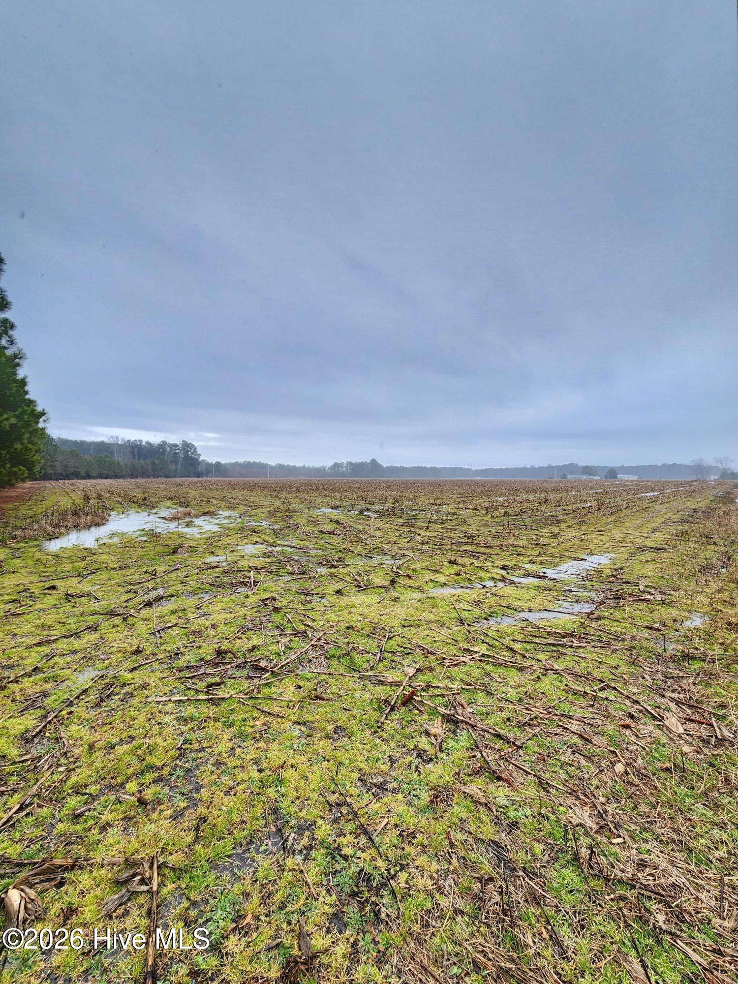 Tbd Ramsey Ford Road Tabor City, NC 28463 - Photo 4 of 13 1