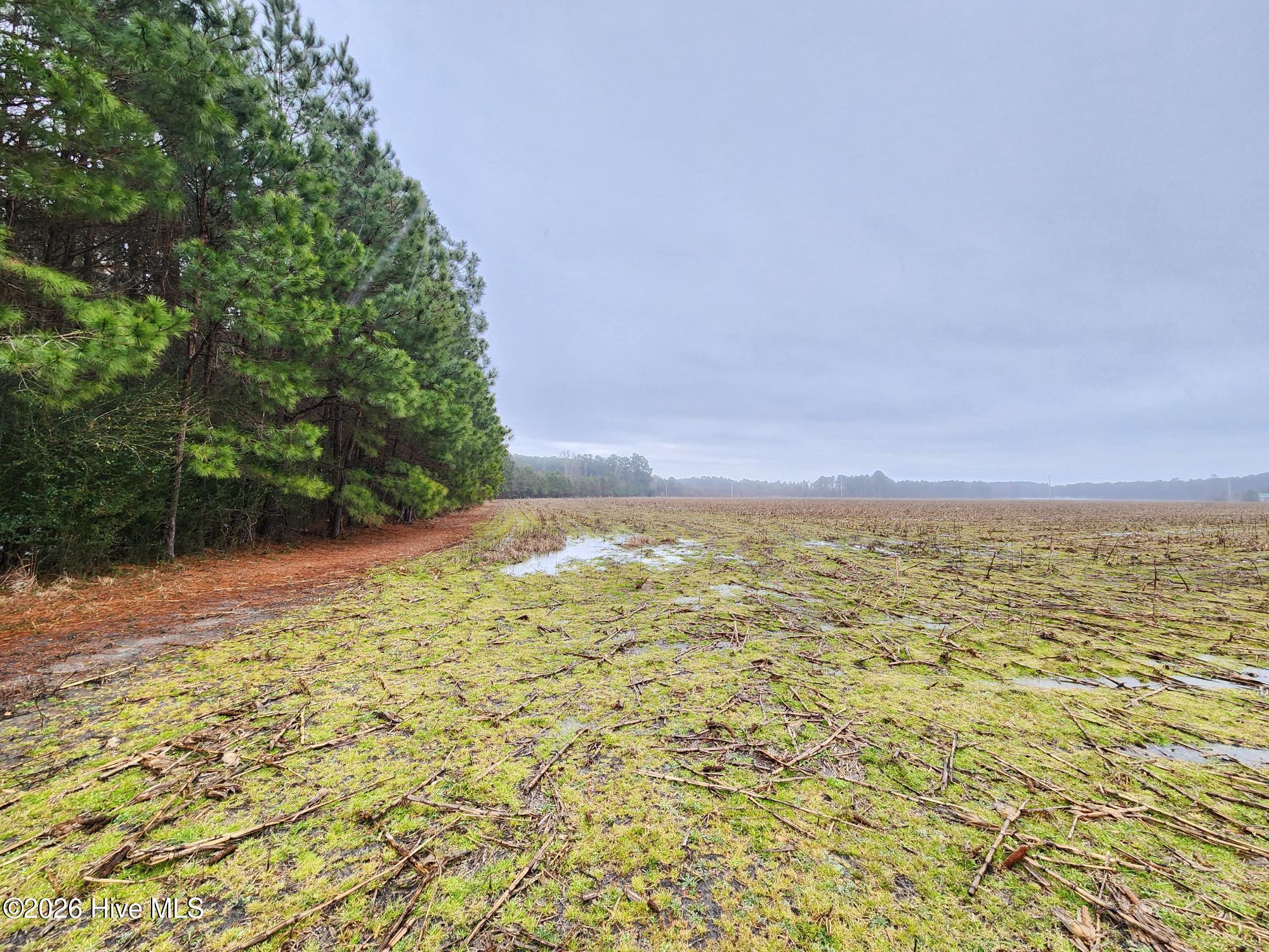 Tbd Ramsey Ford Road Tabor City, NC 28463 - Photo 5 of 13 11